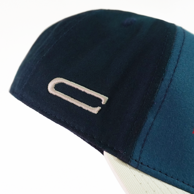 Snapback Born To Win